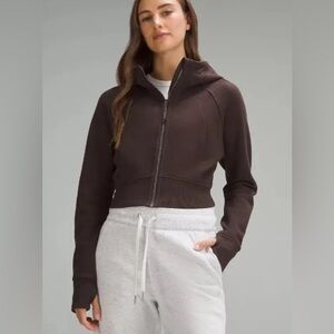 Lululemon NWT Scuba Full Zip Cropped Hoodie Espresso Sz. 2